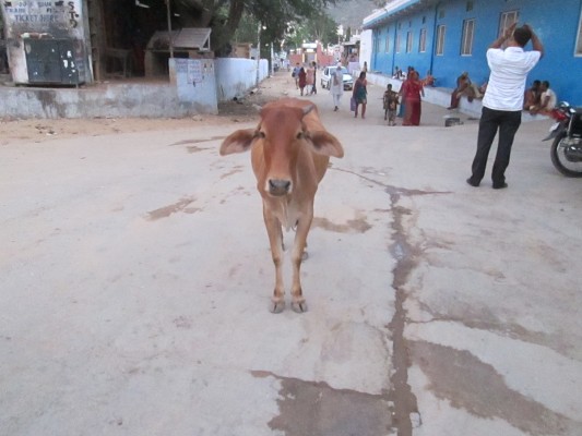 Pushkar, Inde