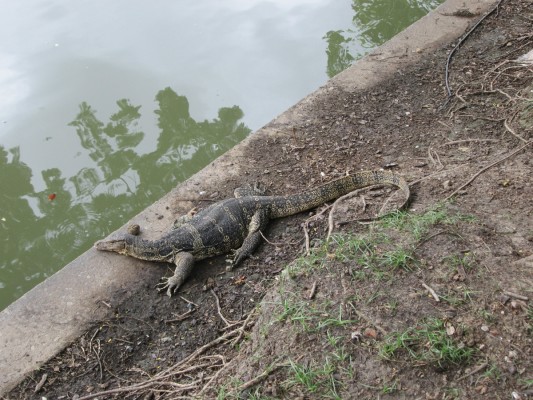 Parc Lumphini, Bangkok