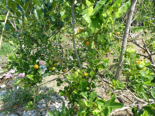 Région de Can Tho, Vietnam