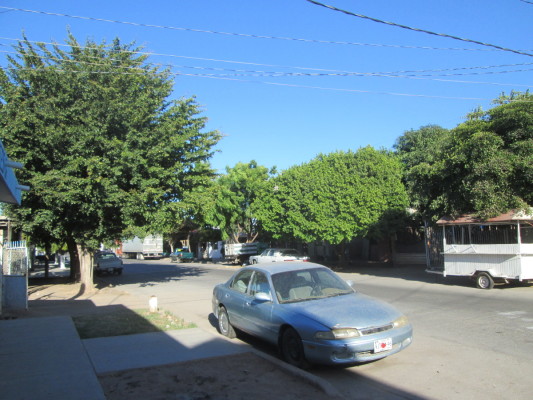 Rue paisible de Los Mochis