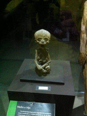 Plus petite momie du monde, Museo de la Momias