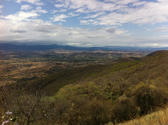 Monte Alban