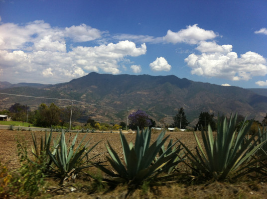 En route vers Puerto Escondido