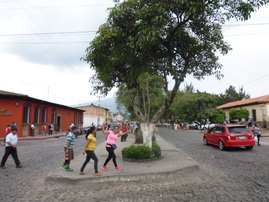 Je ne me lasse pas des photobombes. 