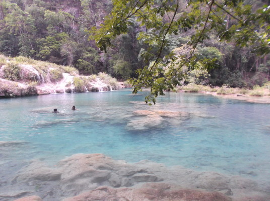 Piscine naturelle à Semuc Champey