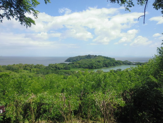 Réserve écologique Charco Verde