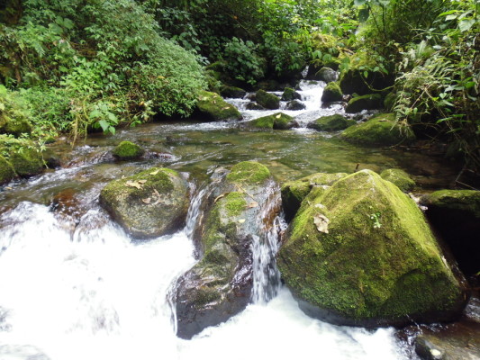 Réserve Cloudbridge