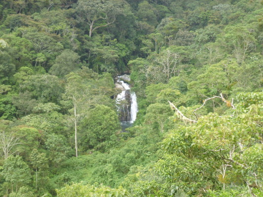 Réserve Cloudbridge