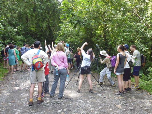 La foule des grands jours
