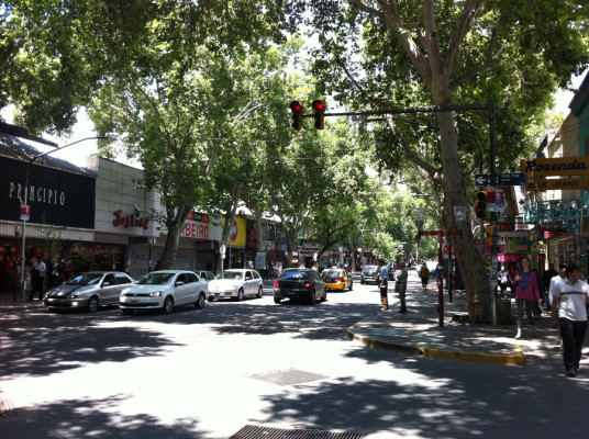 Avenida San Martin