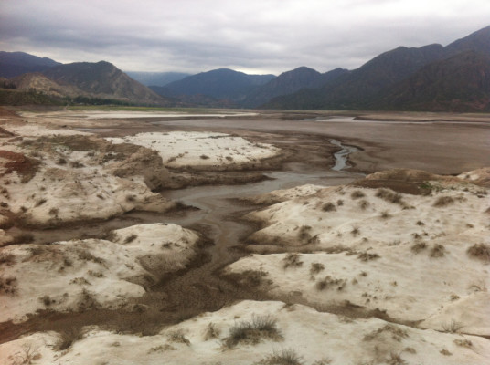 Du poil et de la boue