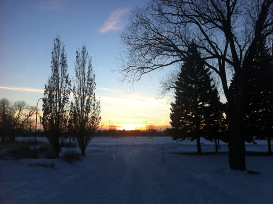 Coucher de soleil sur le parc Jarry