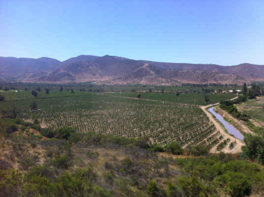 Vignoble entre Viña del Mar et Santiago