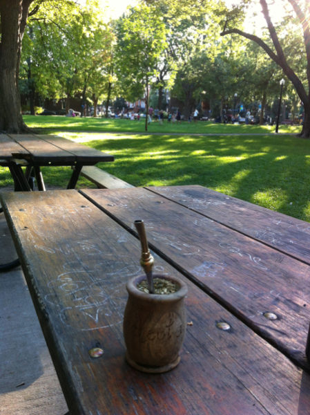 Maté dans le parc...