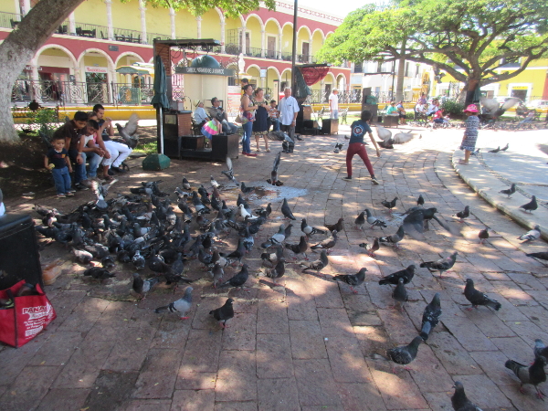This image has an empty alt attribute; its file name is parque-principal-campeche2.jpg